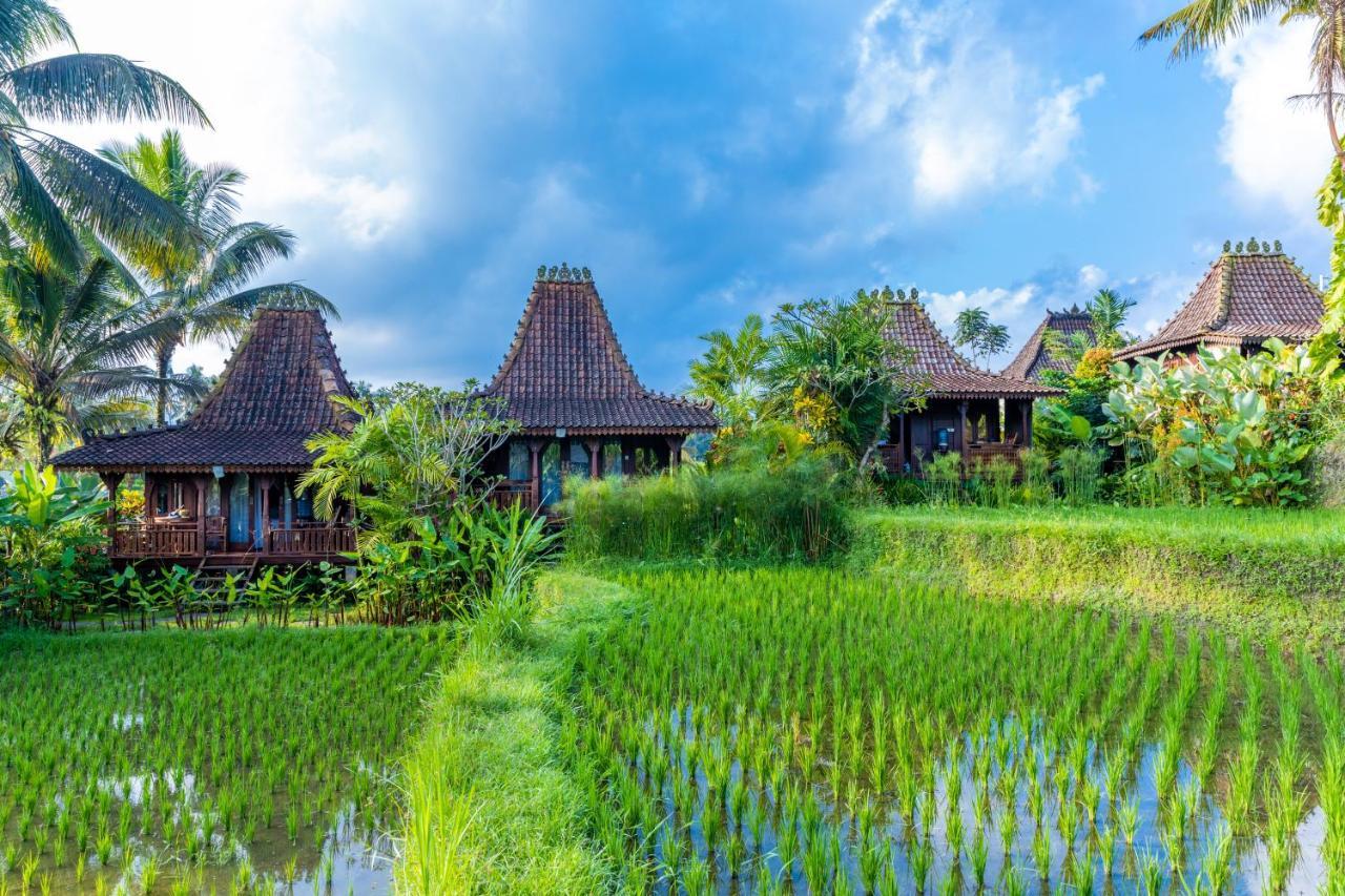 Villa Neyang Ubud Dış mekan fotoğraf