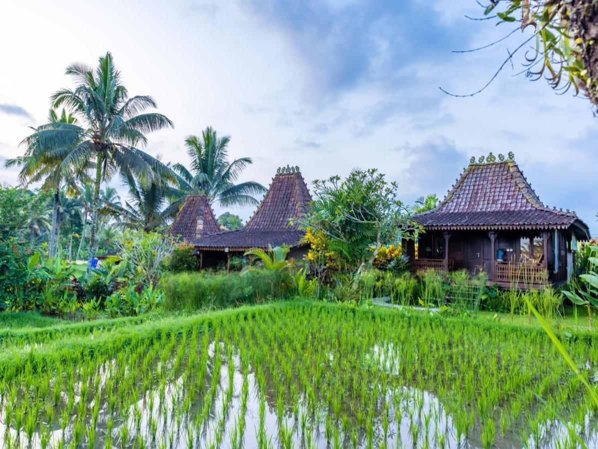 Villa Neyang Ubud Dış mekan fotoğraf