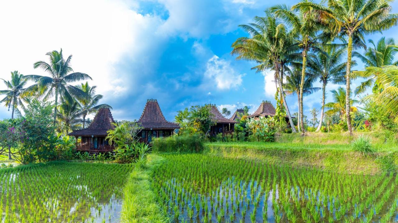 Villa Neyang Ubud Dış mekan fotoğraf