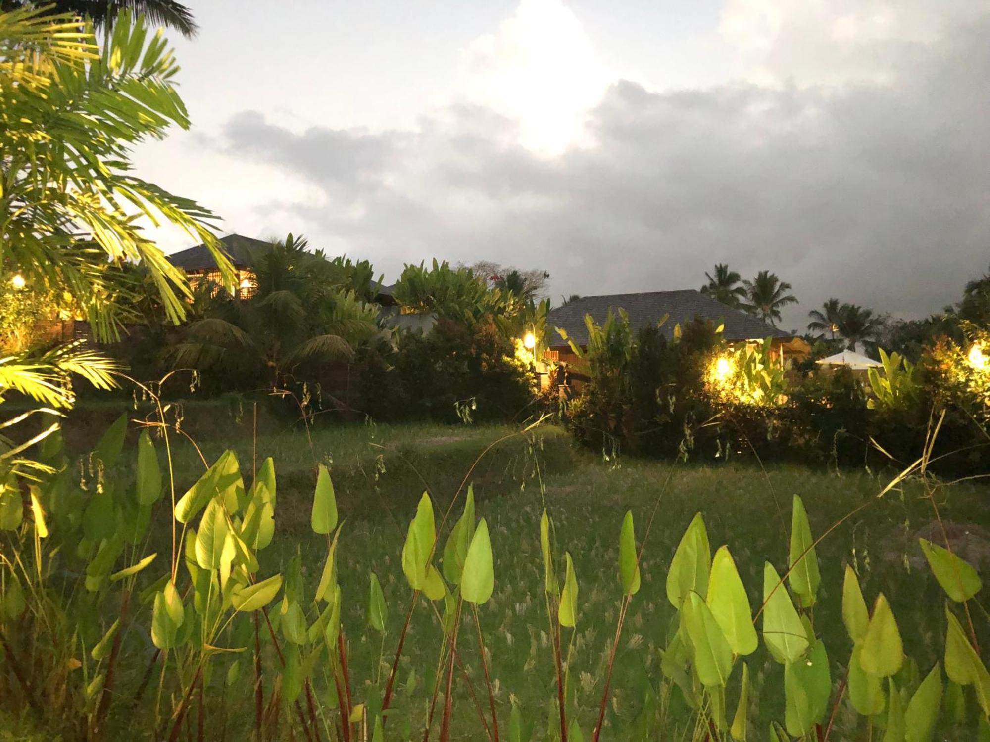 Villa Neyang Ubud Dış mekan fotoğraf