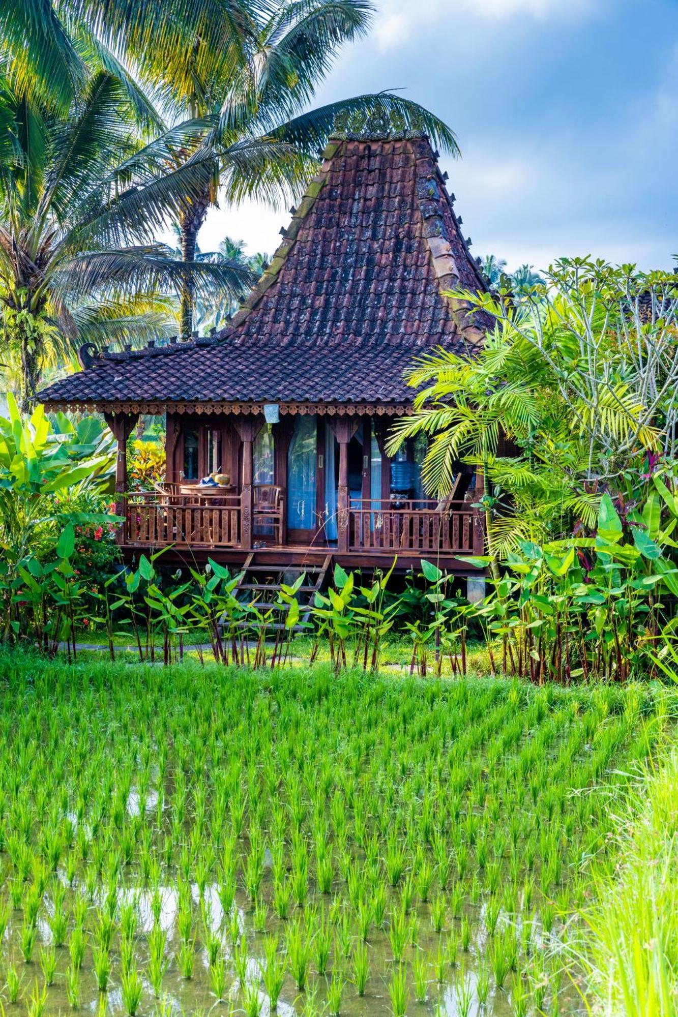 Villa Neyang Ubud Dış mekan fotoğraf
