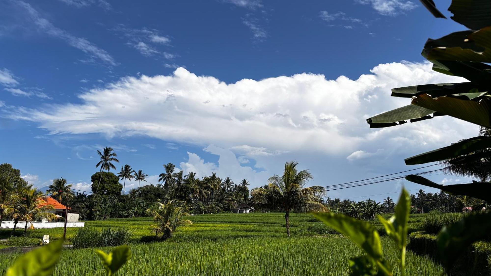 Villa Neyang Ubud Dış mekan fotoğraf