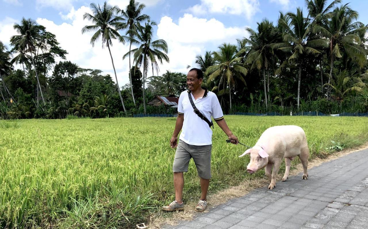 Villa Neyang Ubud Dış mekan fotoğraf