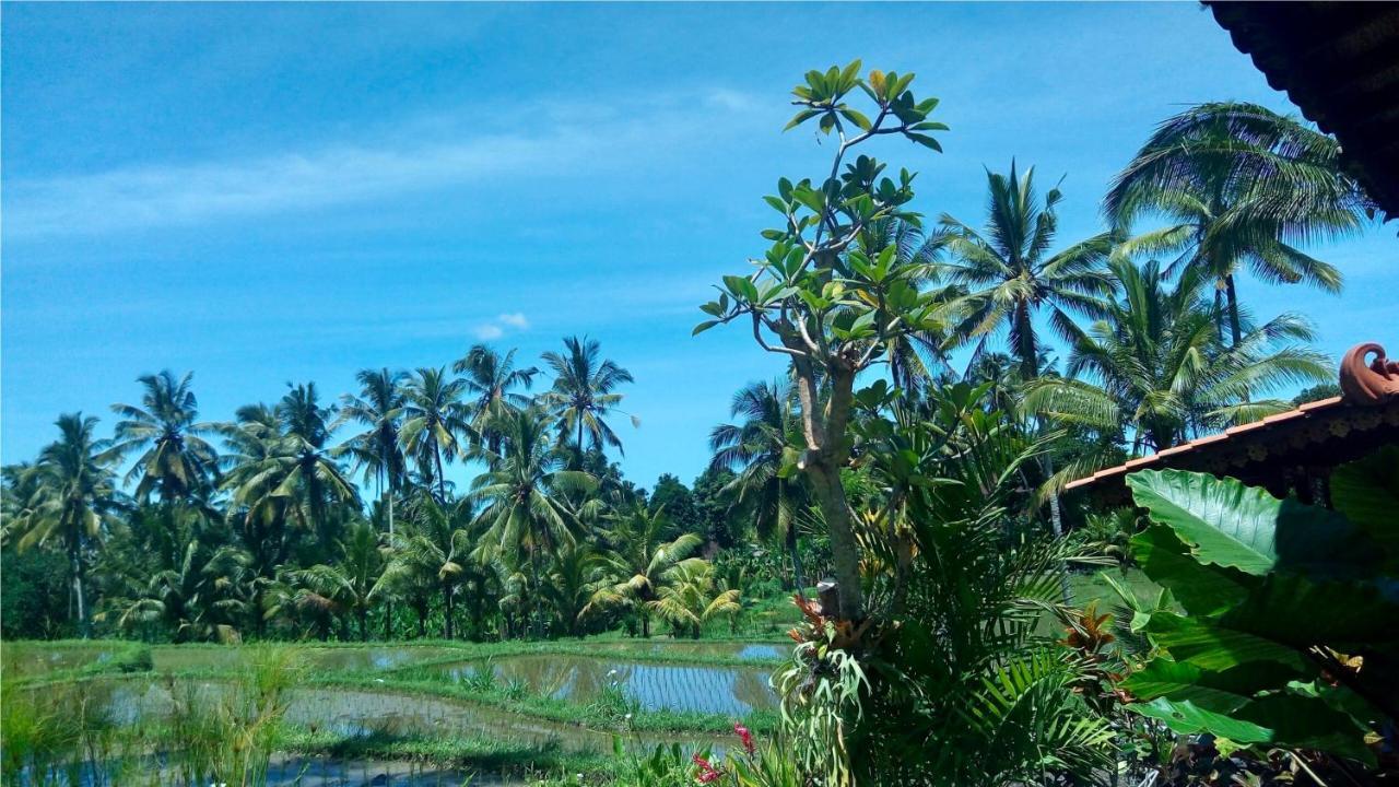 Villa Neyang Ubud Dış mekan fotoğraf